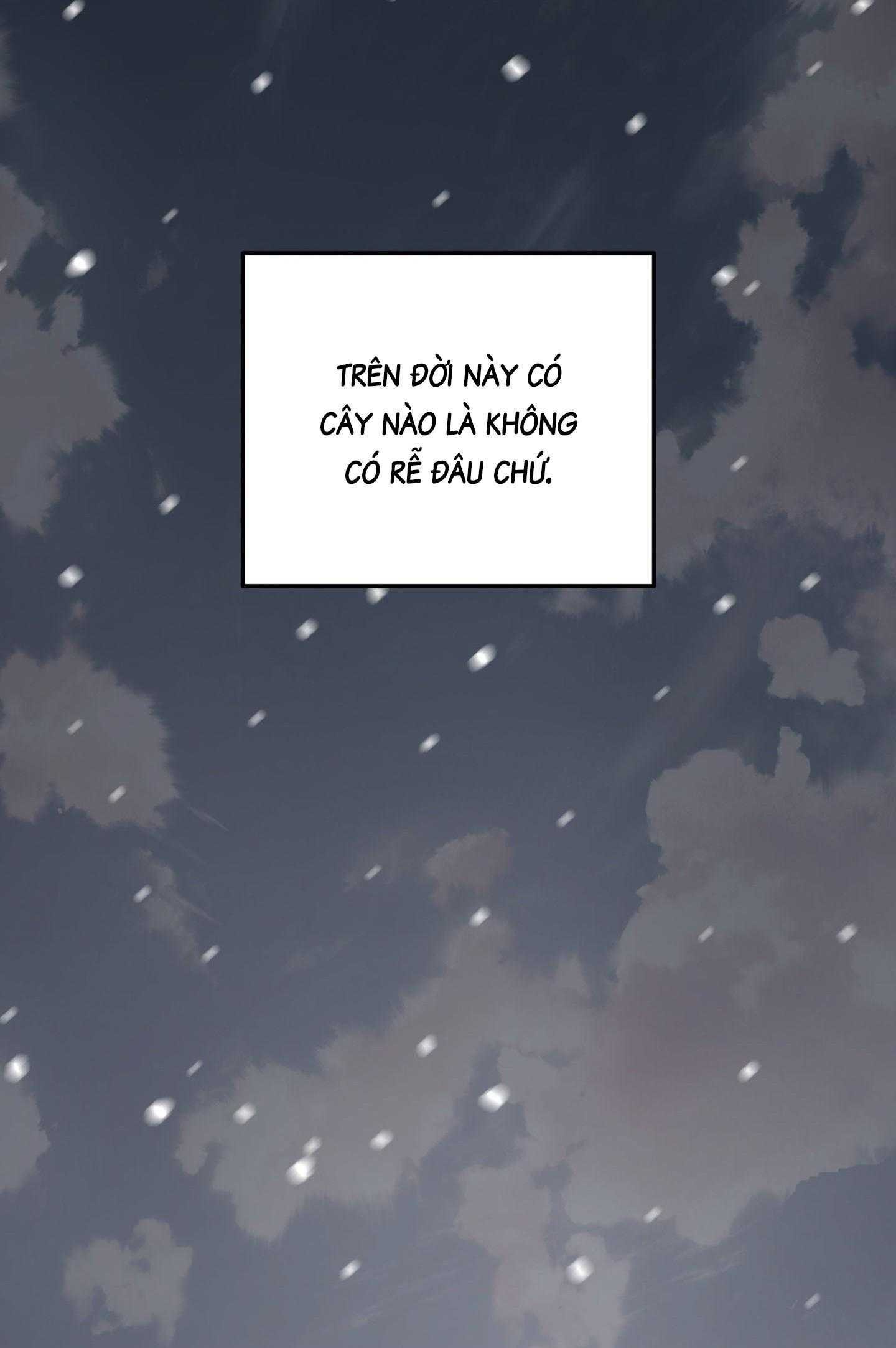 Cây Không Có Rễ Chapter 97 - Next 