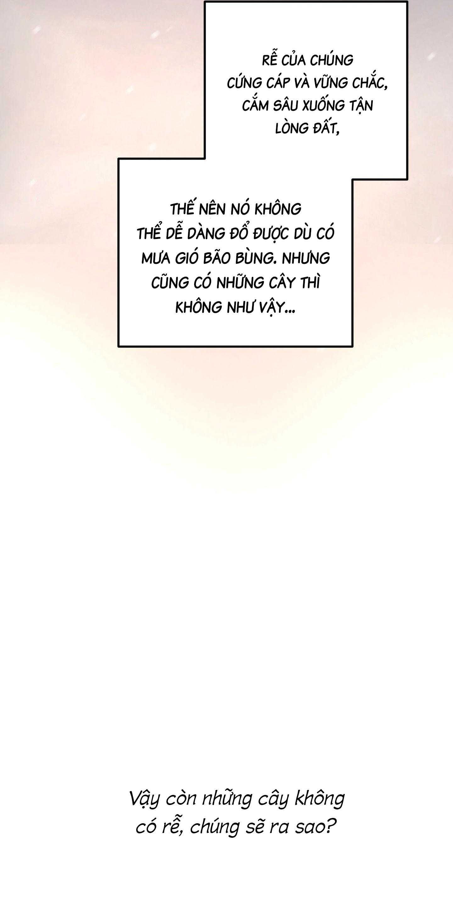 Cây Không Có Rễ Chapter 97 - Next 