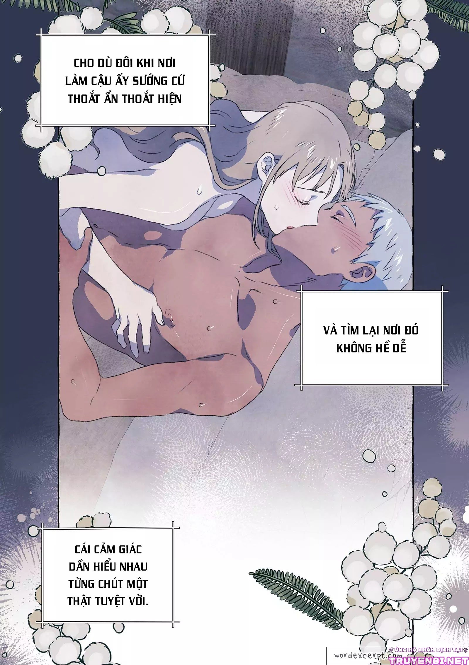 Chàng Khờ Và Tiểu Thư Chapter 11 - Trang 2