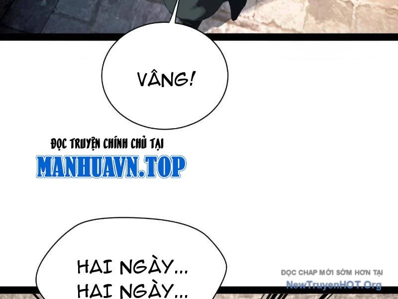 Chàng Rể Mạnh Nhất Lịch Sử Chapter 307 - Trang 3