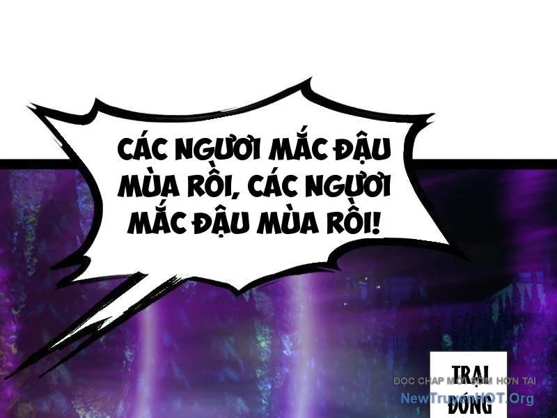Chàng Rể Mạnh Nhất Lịch Sử Chapter 307 - Trang 3
