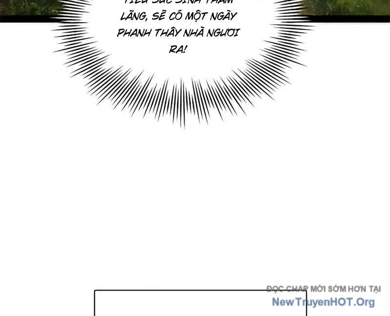 Chàng Rể Mạnh Nhất Lịch Sử Chapter 308 - Trang 2
