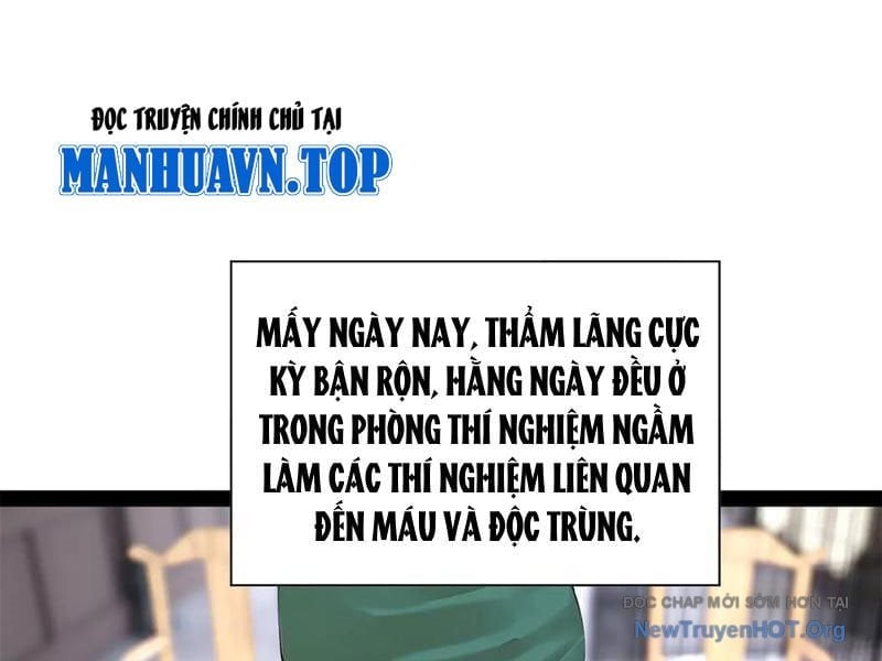 Chàng Rể Mạnh Nhất Lịch Sử Chapter 325 - Trang 3