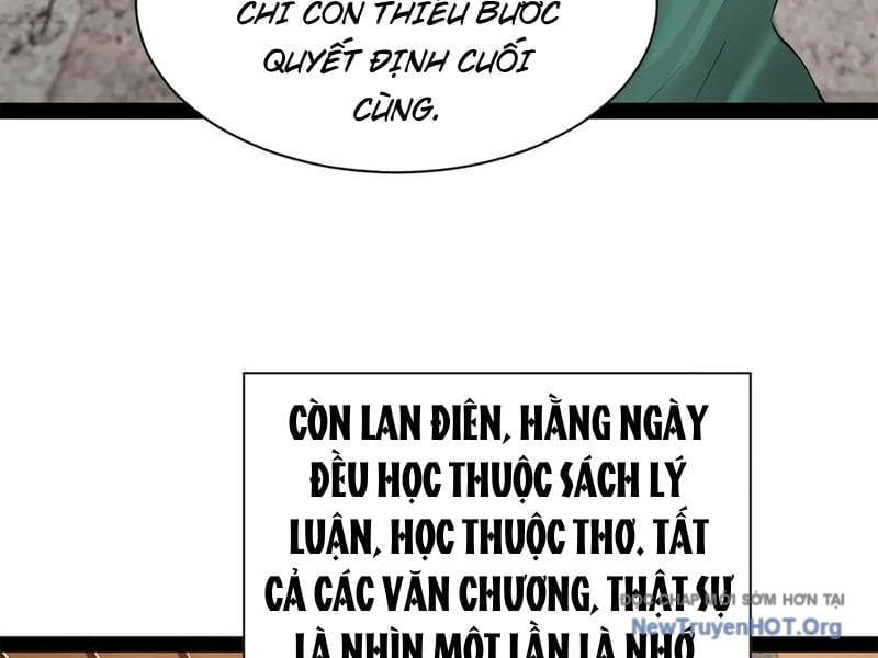 Chàng Rể Mạnh Nhất Lịch Sử Chapter 325 - Trang 3