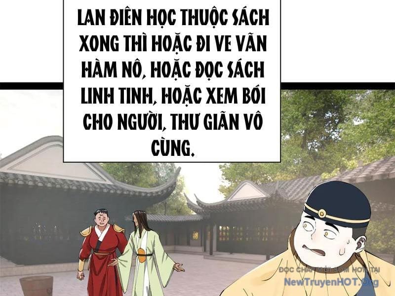 Chàng Rể Mạnh Nhất Lịch Sử Chapter 325 - Trang 3