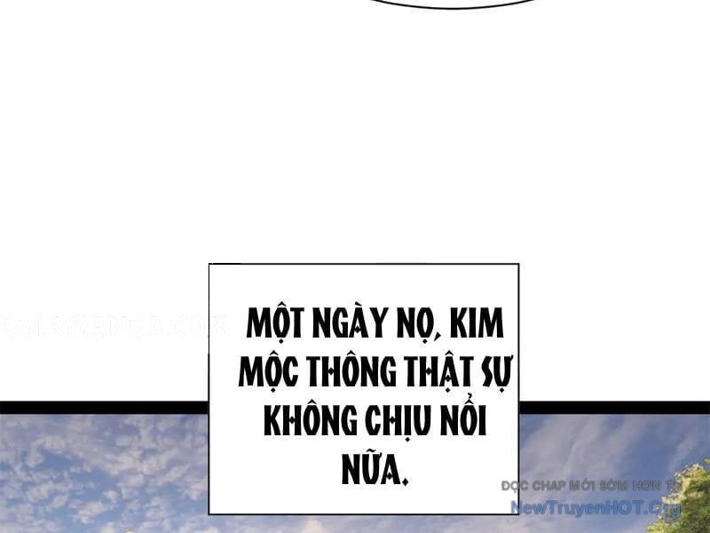 Chàng Rể Mạnh Nhất Lịch Sử Chapter 325 - Trang 3