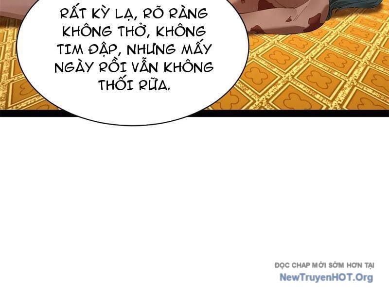 Chàng Rể Mạnh Nhất Lịch Sử Chapter 325 - Trang 3
