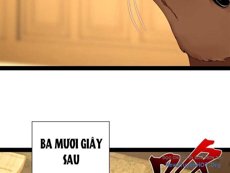 Chàng Rể Mạnh Nhất Lịch Sử Chapter 325 - Trang 3