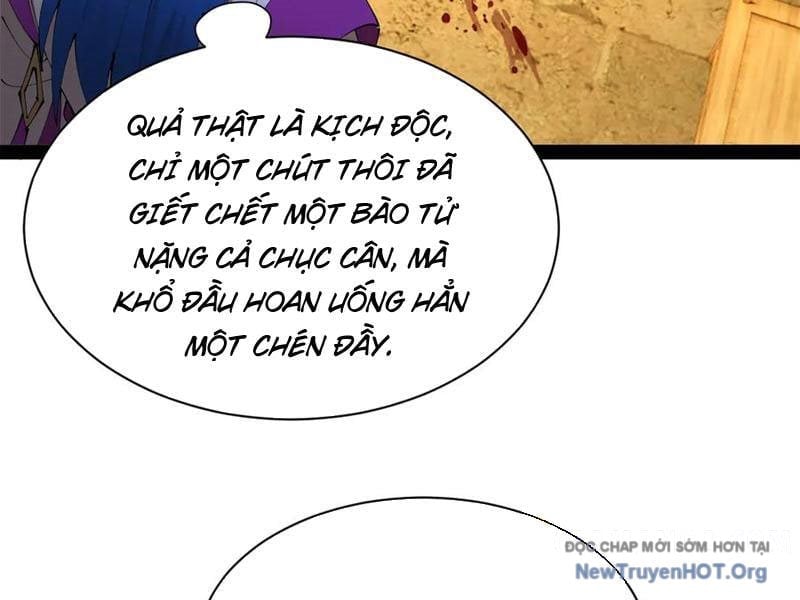 Chàng Rể Mạnh Nhất Lịch Sử Chapter 325 - Trang 3