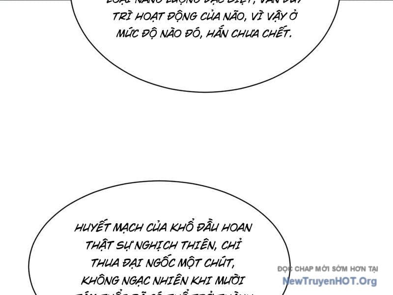 Chàng Rể Mạnh Nhất Lịch Sử Chapter 325 - Trang 3