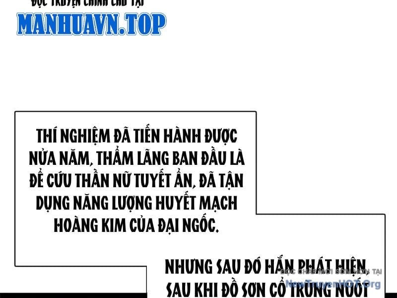 Chàng Rể Mạnh Nhất Lịch Sử Chapter 325 - Trang 3