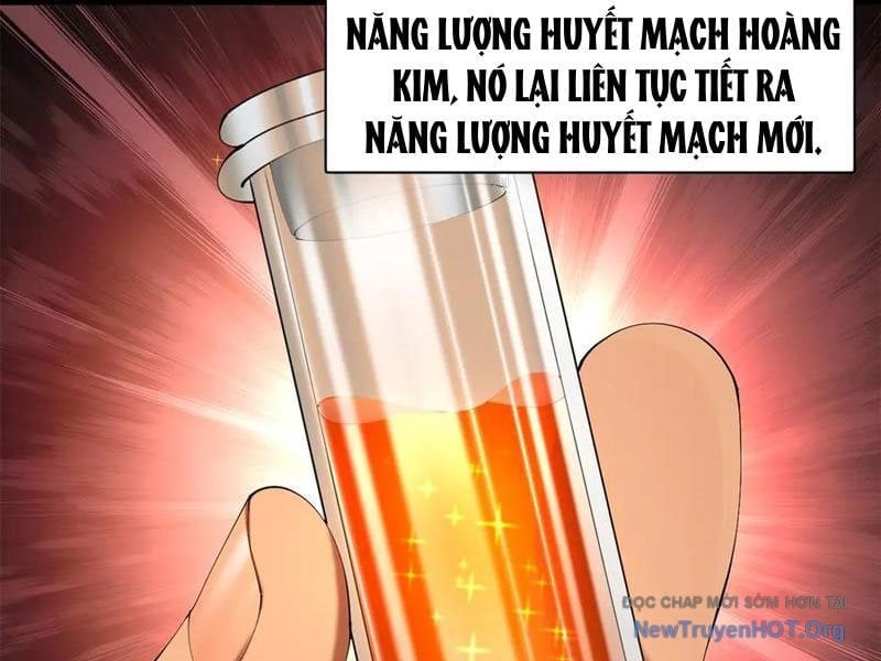 Chàng Rể Mạnh Nhất Lịch Sử Chapter 325 - Trang 3