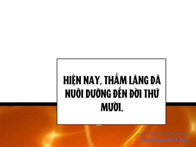 Chàng Rể Mạnh Nhất Lịch Sử Chapter 325 - Trang 3