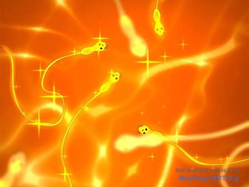 Chàng Rể Mạnh Nhất Lịch Sử Chapter 325 - Trang 3