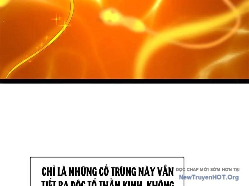 Chàng Rể Mạnh Nhất Lịch Sử Chapter 325 - Trang 3