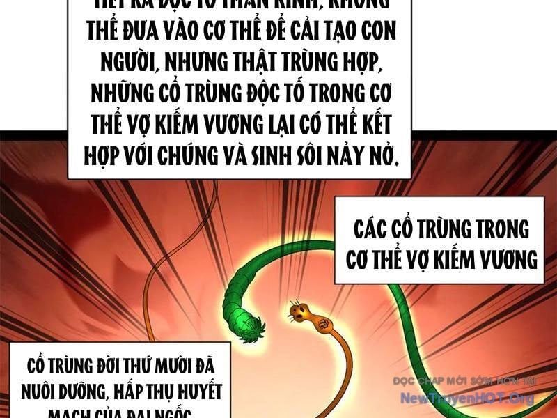 Chàng Rể Mạnh Nhất Lịch Sử Chapter 325 - Trang 3