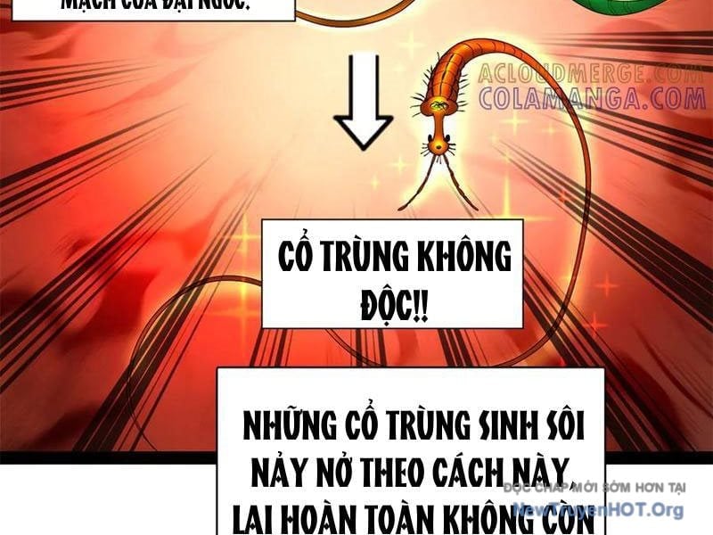 Chàng Rể Mạnh Nhất Lịch Sử Chapter 325 - Trang 3