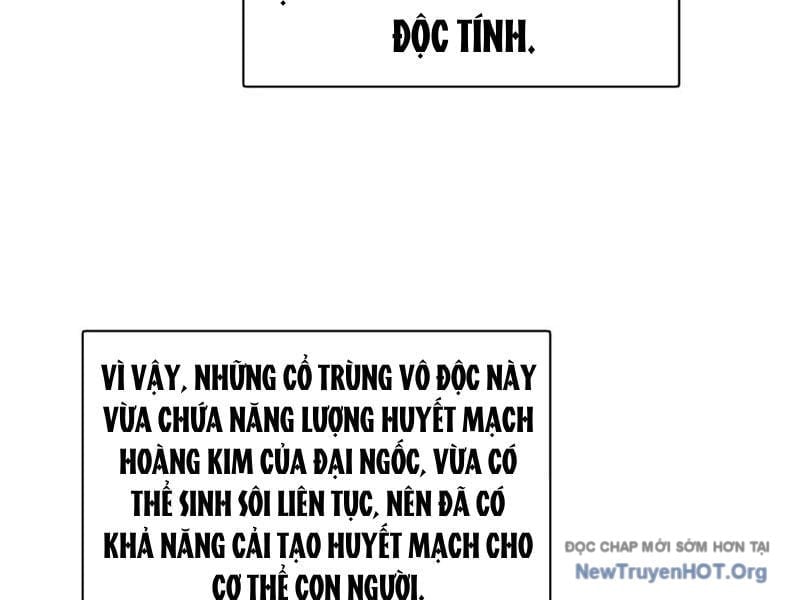 Chàng Rể Mạnh Nhất Lịch Sử Chapter 325 - Trang 3