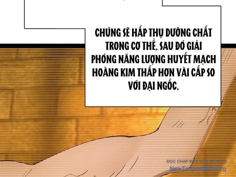 Chàng Rể Mạnh Nhất Lịch Sử Chapter 325 - Trang 3