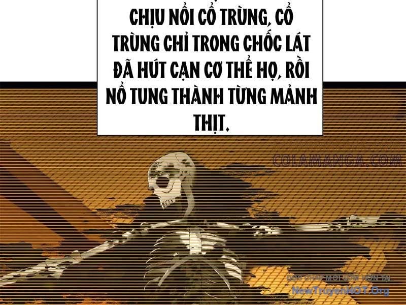 Chàng Rể Mạnh Nhất Lịch Sử Chapter 325 - Trang 3
