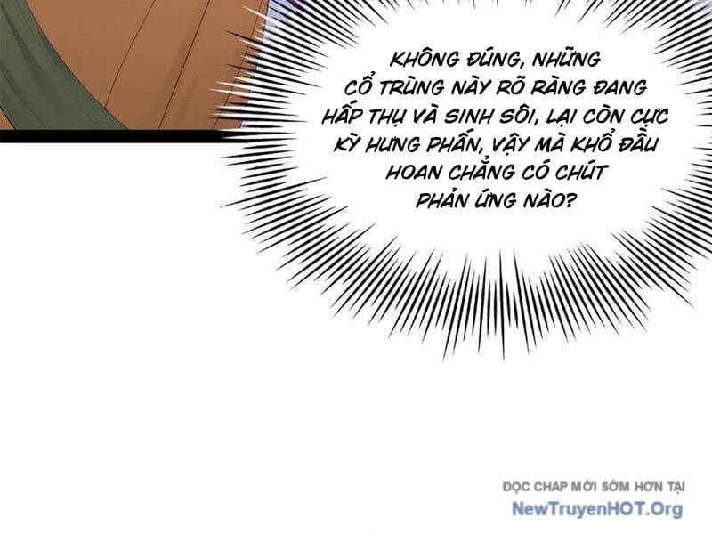 Chàng Rể Mạnh Nhất Lịch Sử Chapter 325 - Trang 3