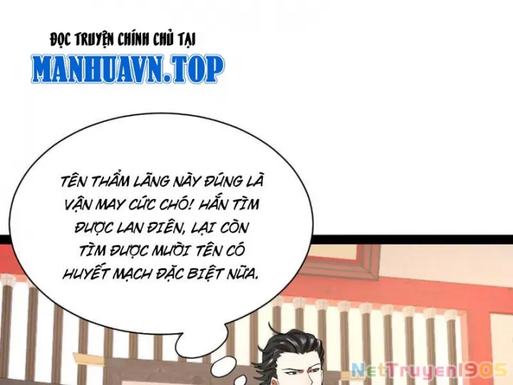 Chàng Rể Mạnh Nhất Lịch Sử Chapter 337 - Next 