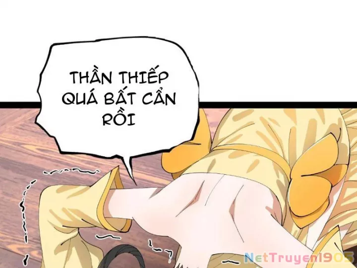 Chàng Rể Mạnh Nhất Lịch Sử Chapter 337 - Next 