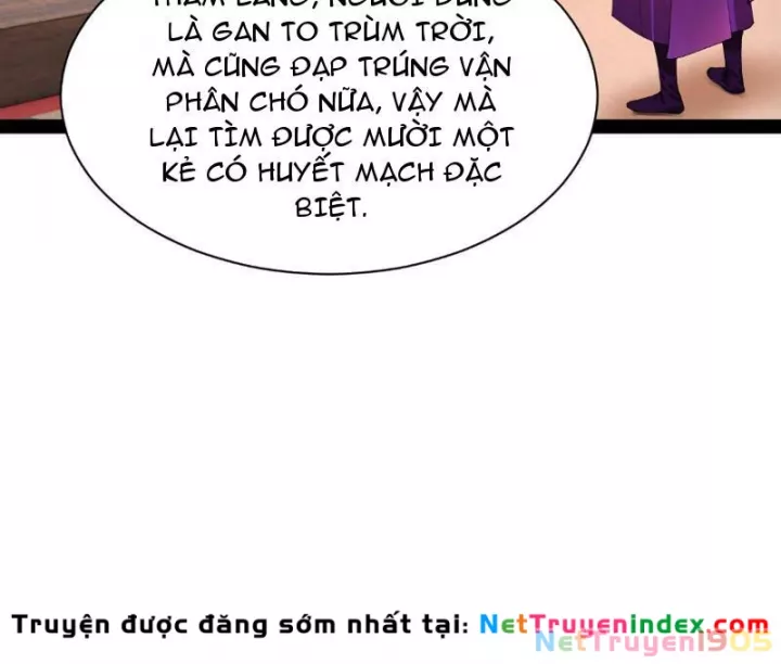 Chàng Rể Mạnh Nhất Lịch Sử Chapter 337 - Next 