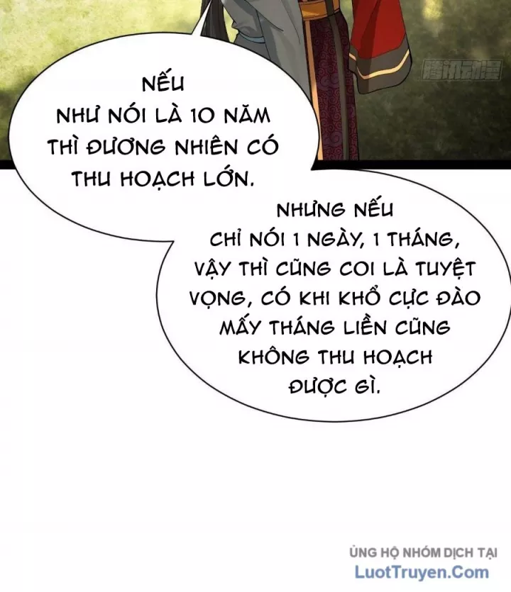 Chàng Rể Mạnh Nhất Lịch Sử Chapter 338 - Trang 2