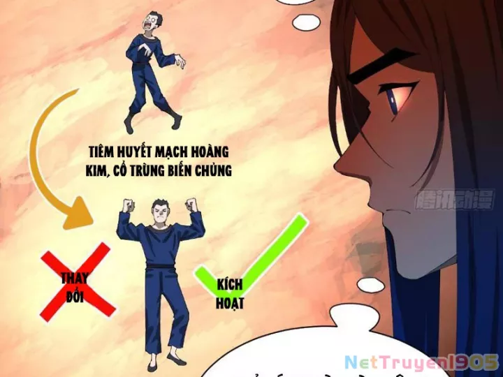 Chàng Rể Mạnh Nhất Lịch Sử Chapter 339 - Trang 2