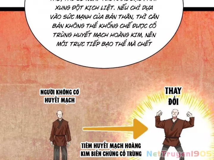 Chàng Rể Mạnh Nhất Lịch Sử Chapter 339 - Trang 2