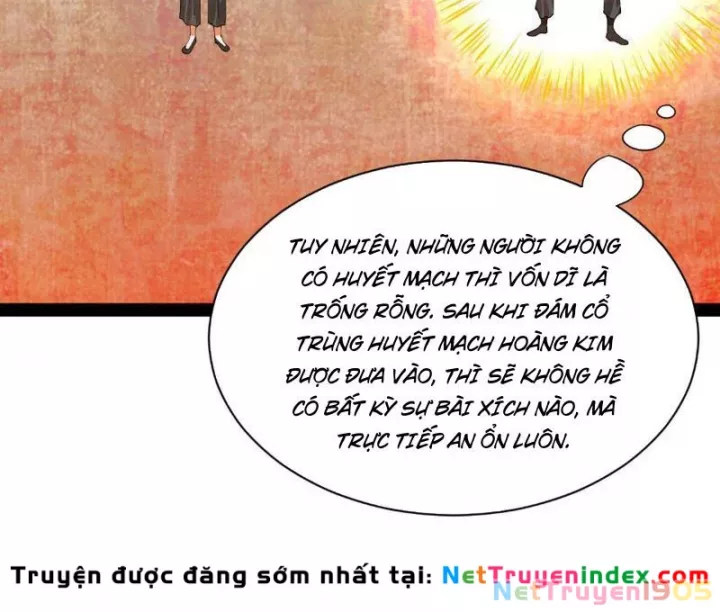 Chàng Rể Mạnh Nhất Lịch Sử Chapter 339 - Trang 2