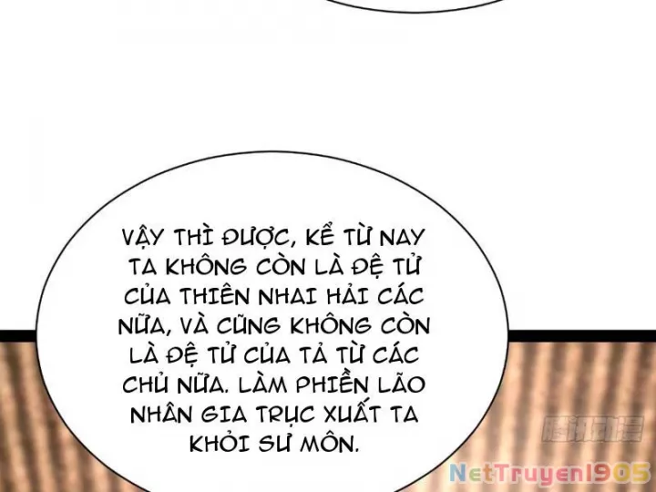 Chàng Rể Mạnh Nhất Lịch Sử Chapter 339 - Trang 2