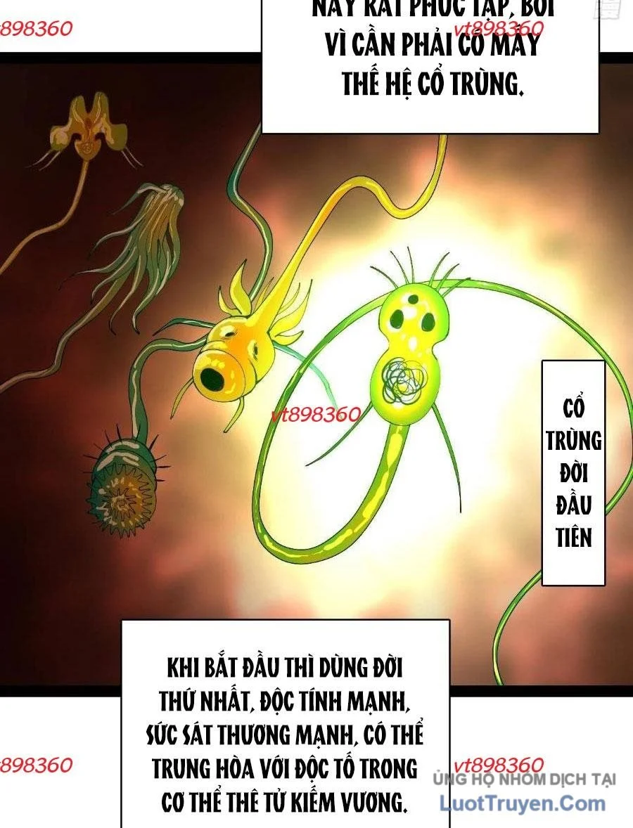 Chàng Rể Mạnh Nhất Lịch Sử Chapter 345 - Trang 2