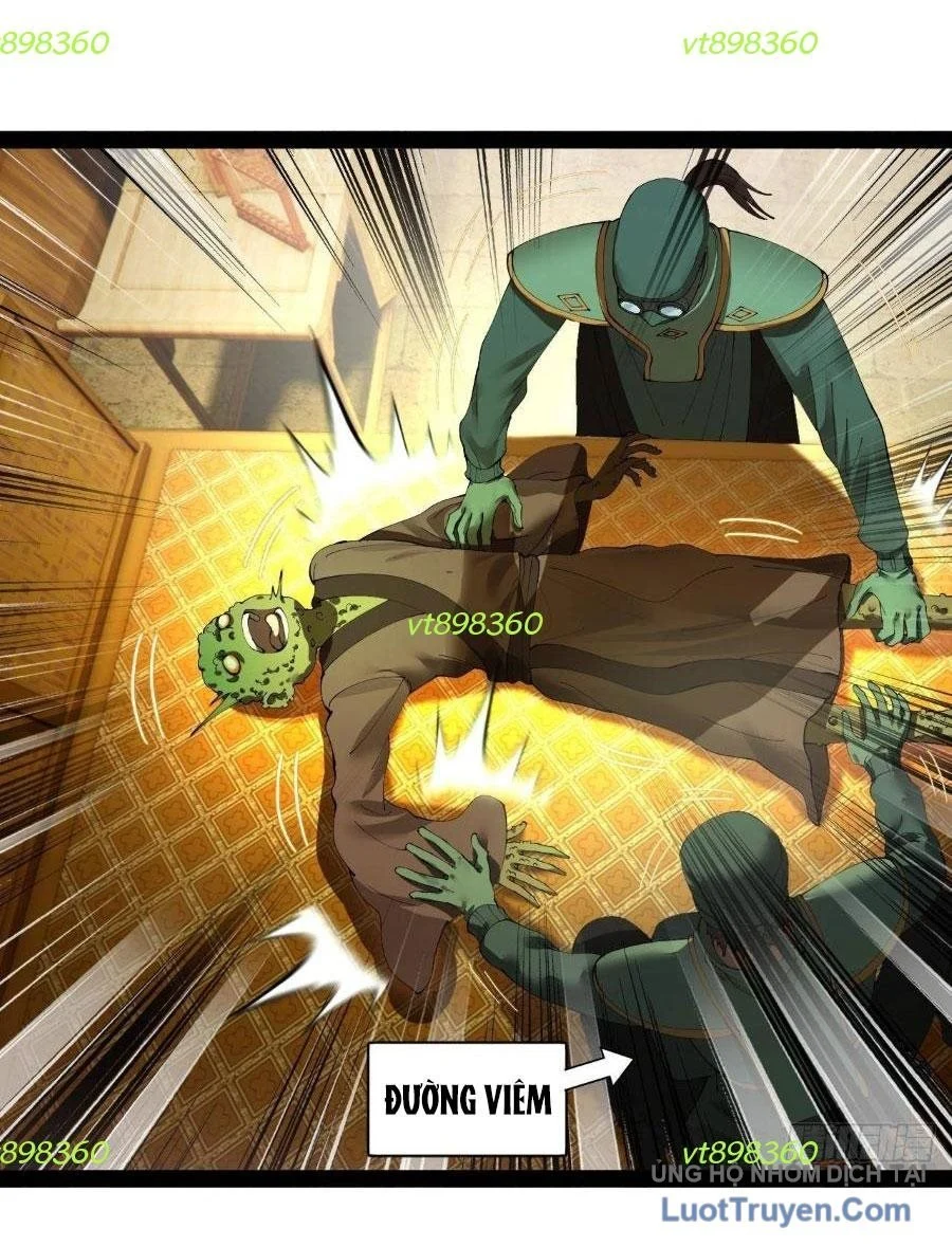 Chàng Rể Mạnh Nhất Lịch Sử Chapter 345 - Trang 2