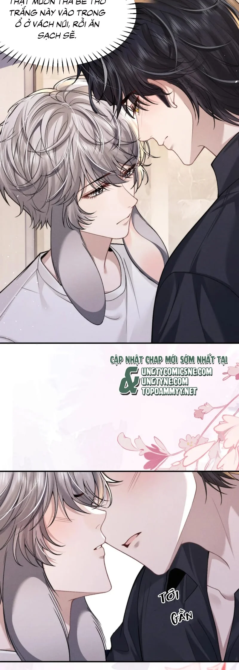 Chấp Sự Thỏ Cụp Tai Chap 159 - Trang 3