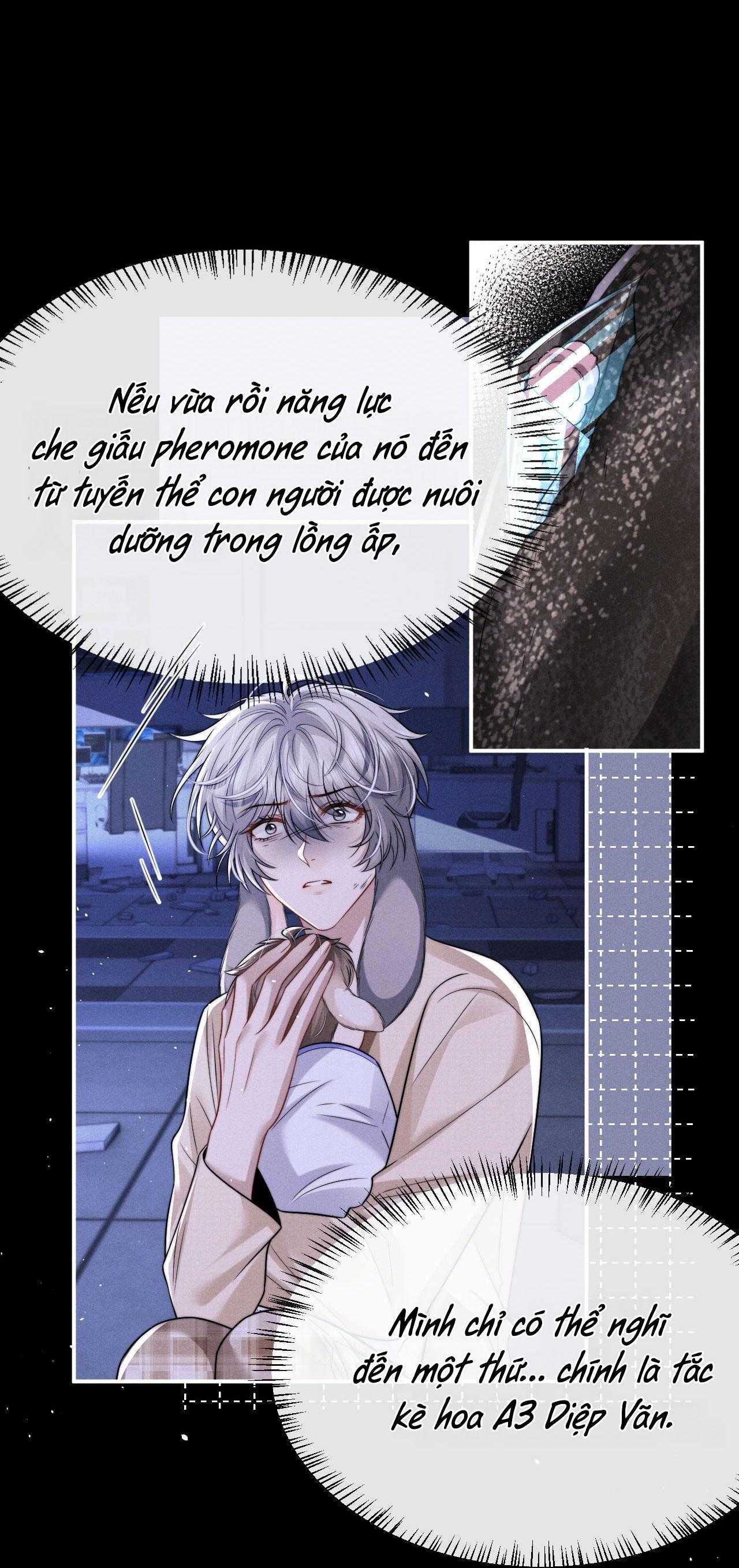 Chấp Sự Thỏ Tai Cụp Chapter 170 - Trang 3