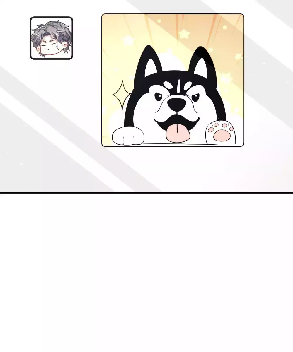 Chấp Sự Thỏ Tai Cụp Chapter 177 - Trang 2