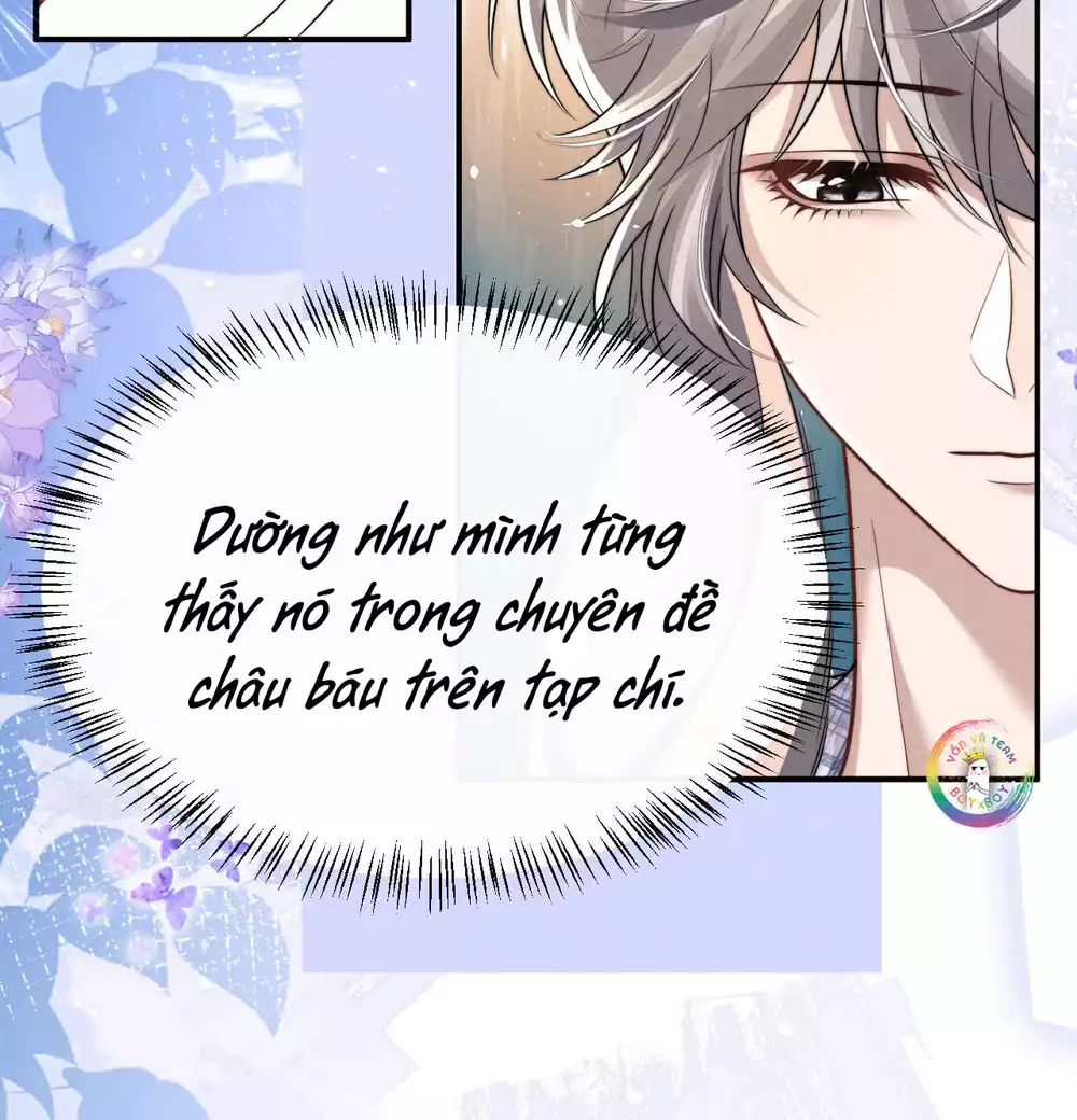 Chấp Sự Thỏ Tai Cụp Chapter 178 - Trang 2