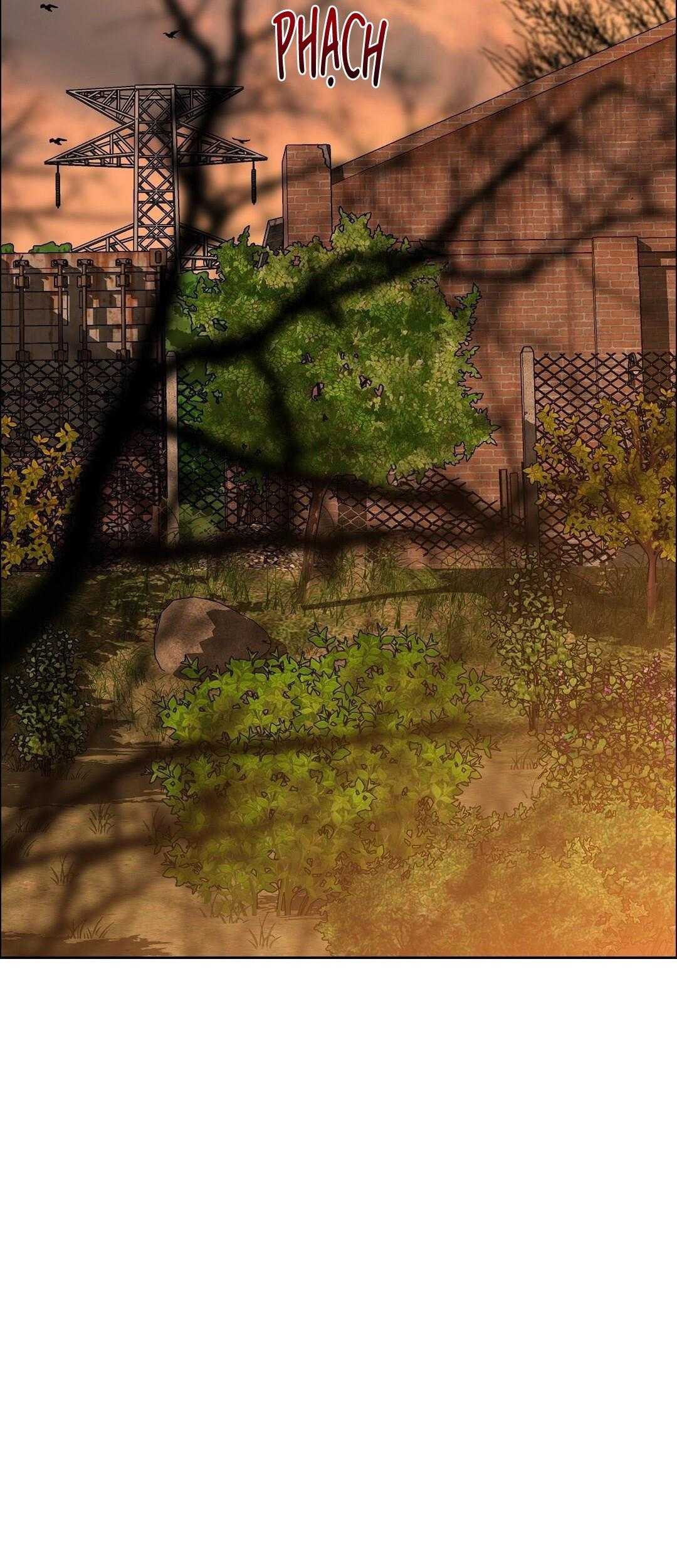 Cherry Cake Chapter 30 - Trang 2