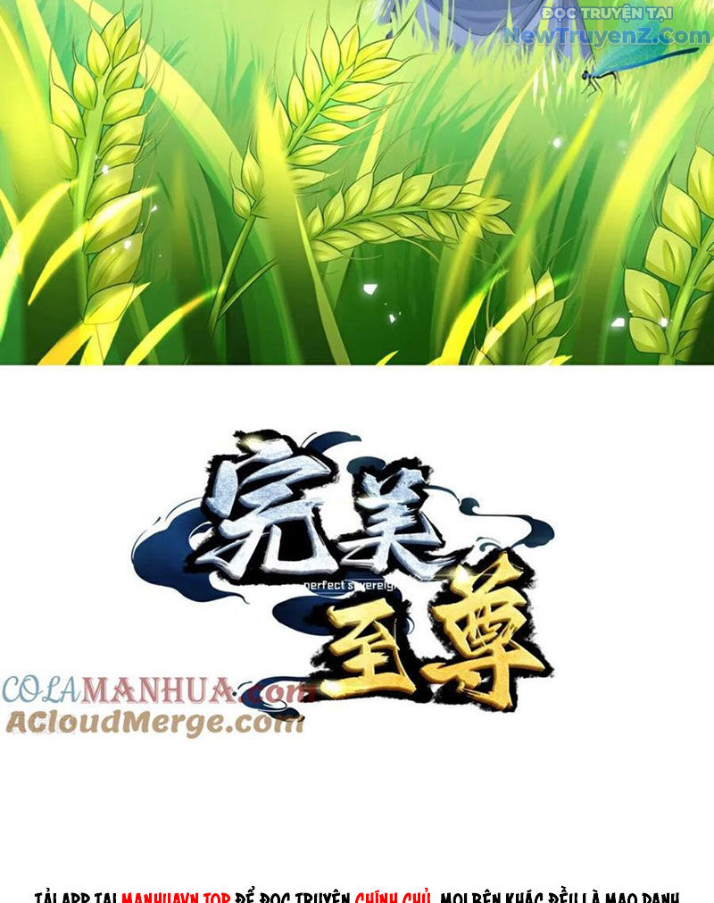 Chí Tôn Hoàn Mỹ Chapter 80 - Trang 2