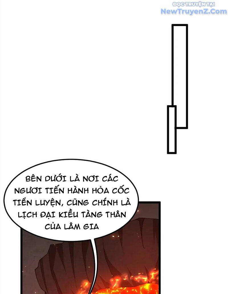 Chí Tôn Hoàn Mỹ Chapter 88 - Trang 2