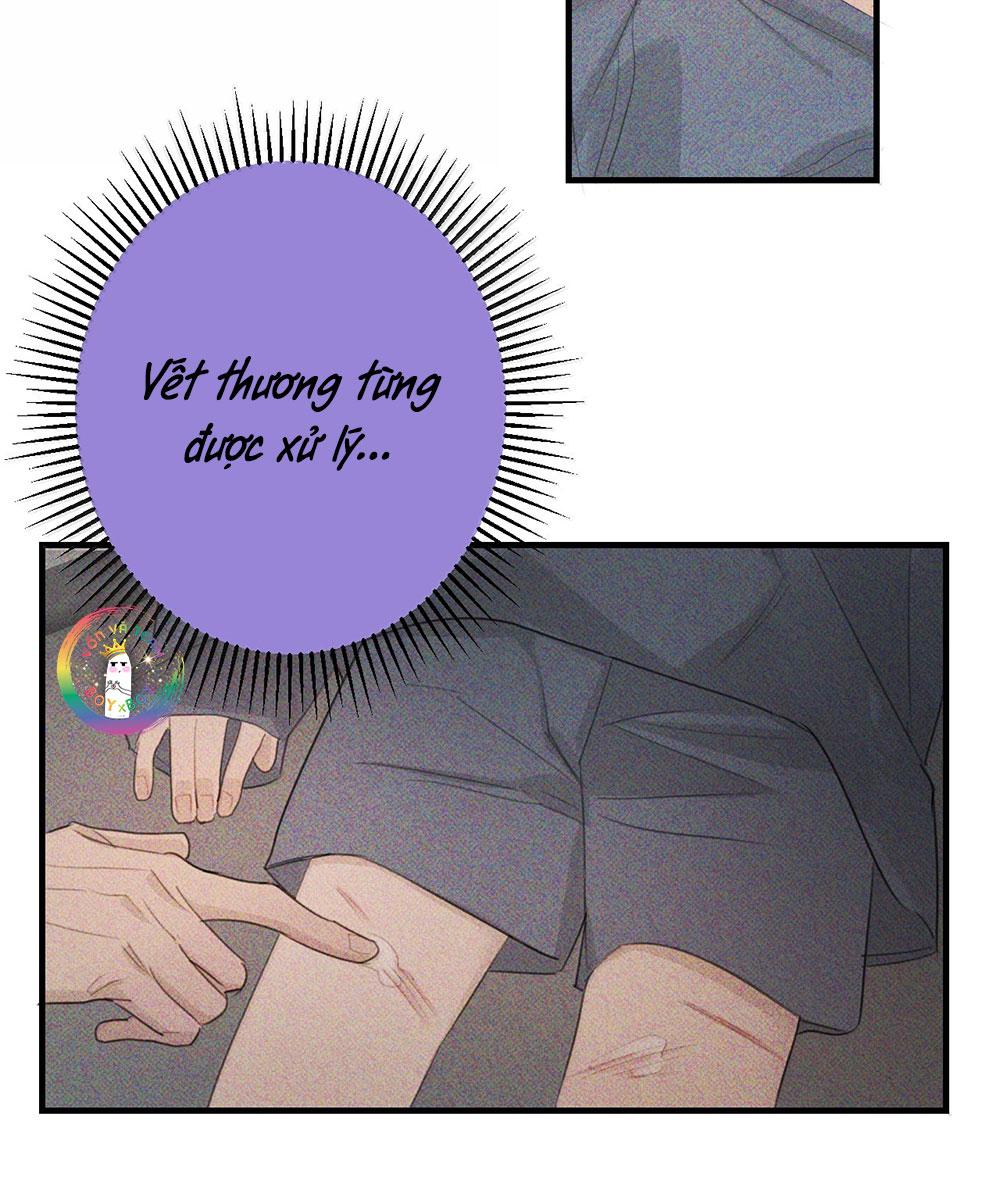 Chiến Lược Dụ Dỗ Chapter 37 - Trang 3