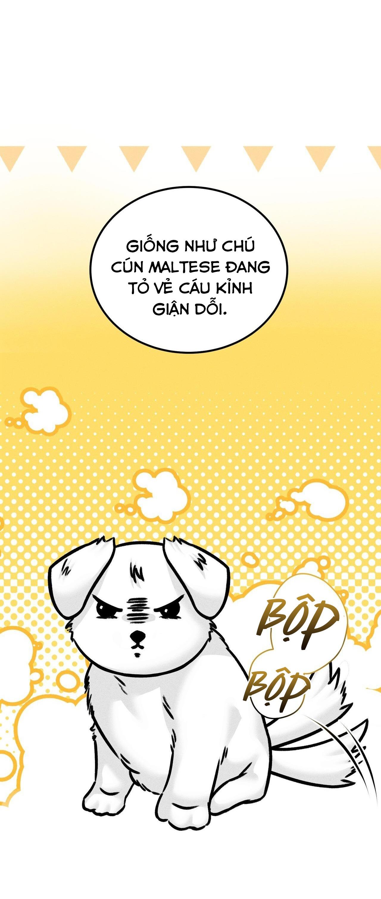 (END) CHỜ CHÚT! ĐỪNG DI CHUYỂN Chapter 10 - Trang 3