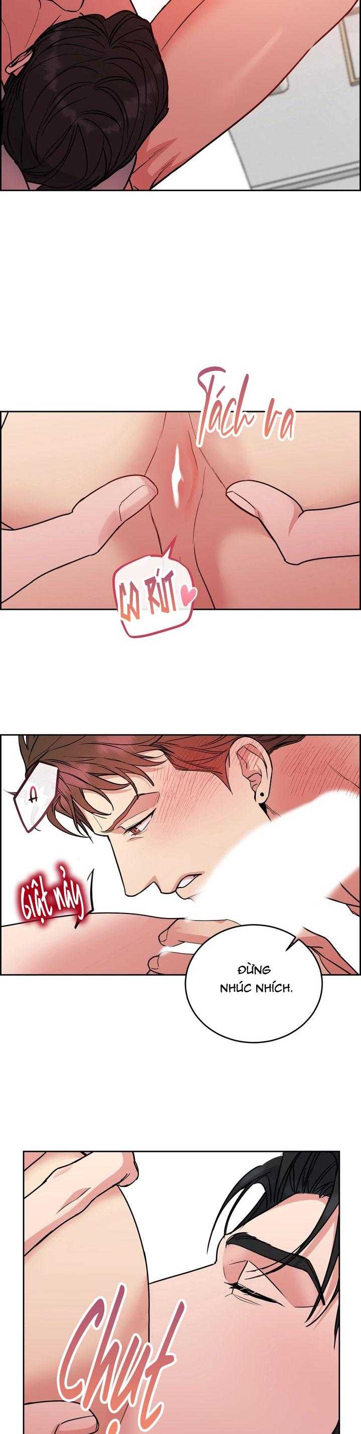 CHÓ VÀ CHIM Chapter 55 - Trang 2