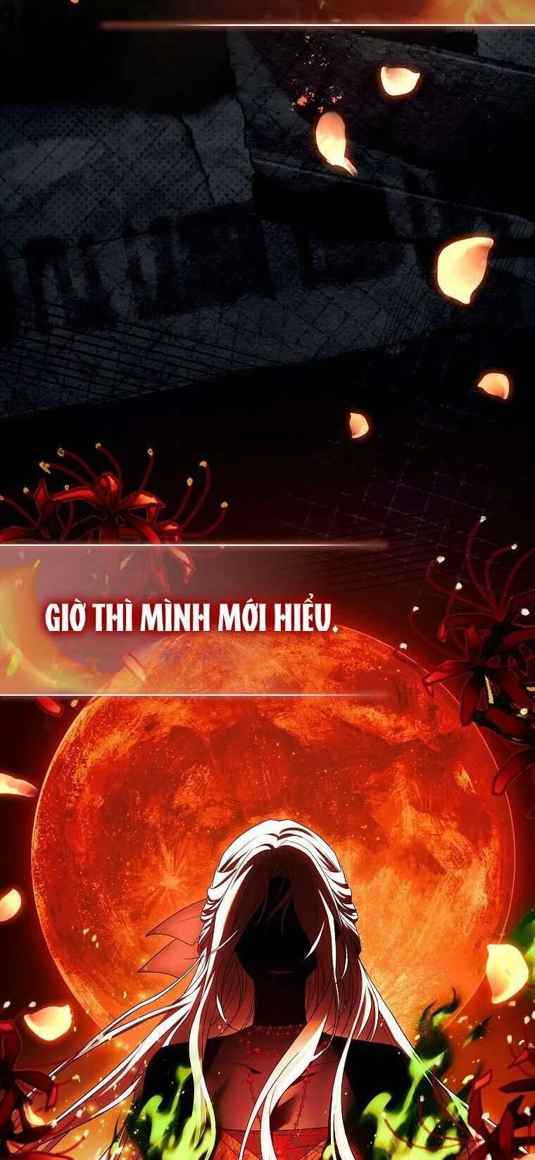 Chồng Ơi, Tại Sao Chúng Ta Không Thể Ly Hôn? Chapter 55 - Trang 2
