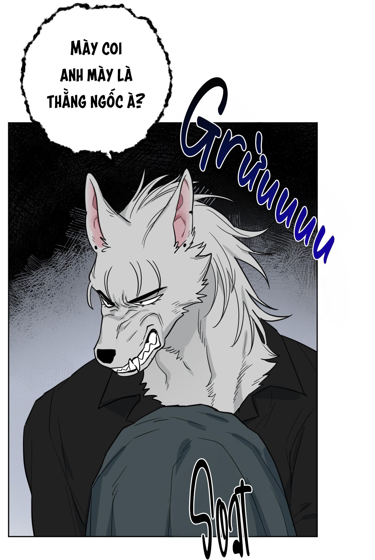 CHÚ ĐÃ BIẾT HẾT RỒI SAO ? Chapter 37 - Trang 2