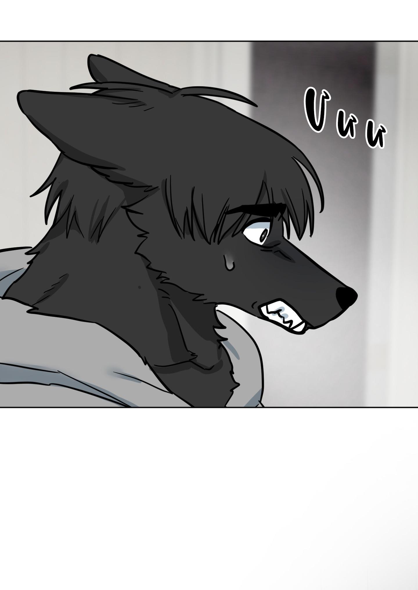 CHÚ ĐÃ BIẾT HẾT RỒI SAO ? Chapter 37 - Trang 2