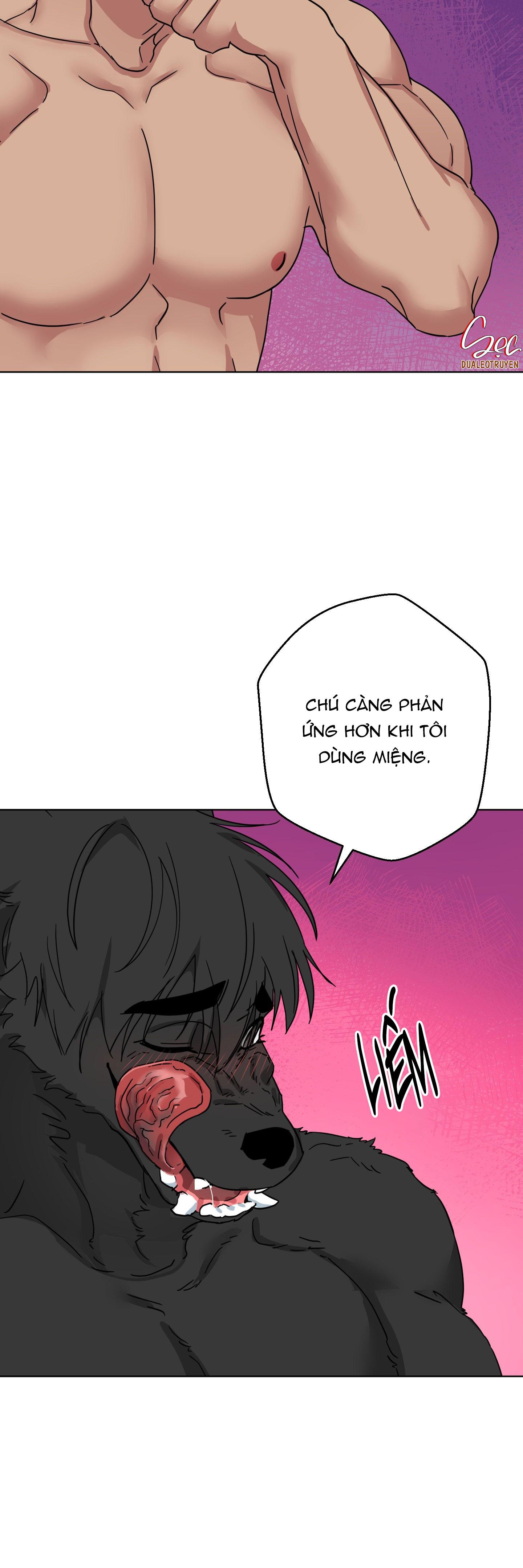 CHÚ ĐÃ BIẾT HẾT RỒI SAO ? Chapter 40 - Next 