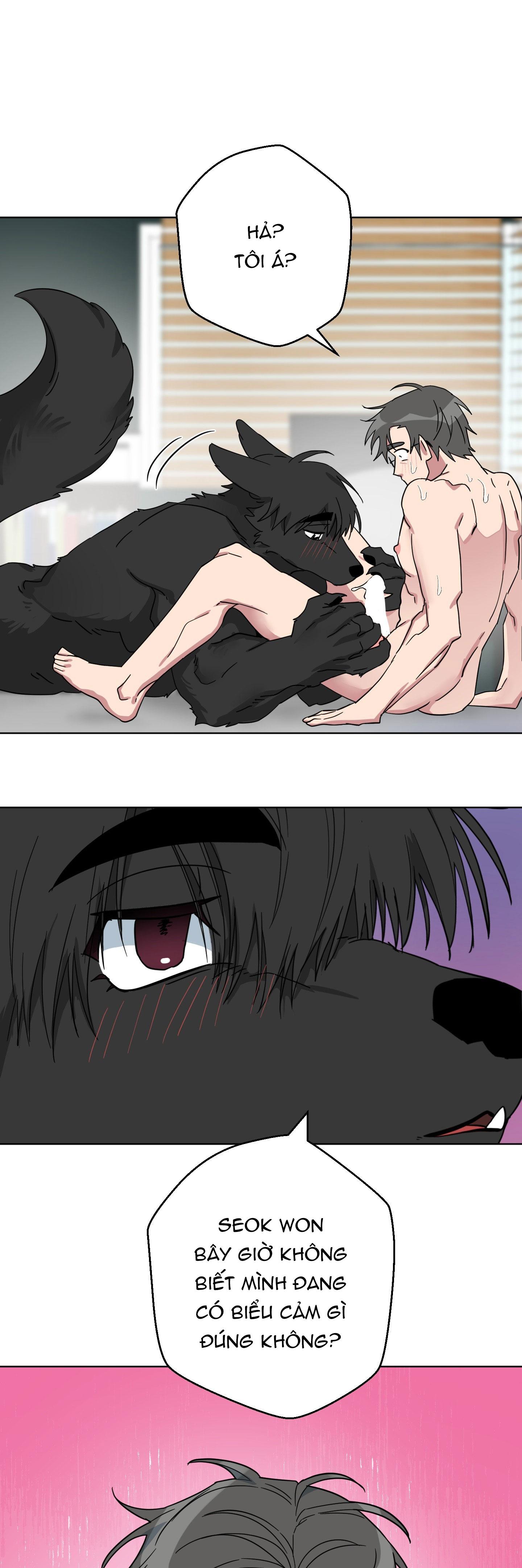 CHÚ ĐÃ BIẾT HẾT RỒI SAO ? Chapter 40 - Next 